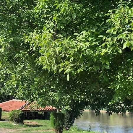 Apartmani Morava 54 Kocino Selo Exteriér fotografie