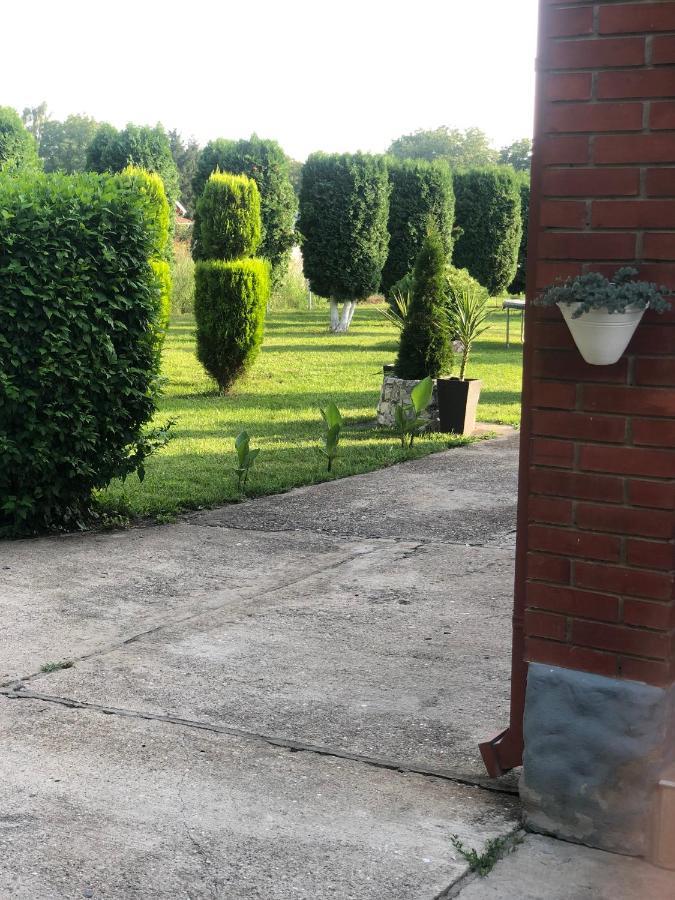 Apartmani Morava 54 Kocino Selo Exteriér fotografie