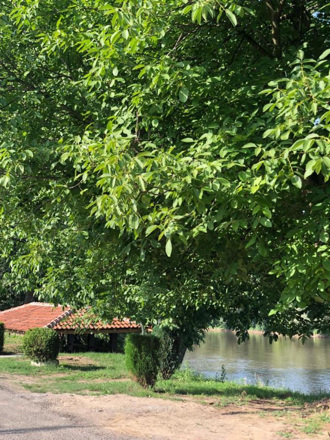 Apartmani Morava 54 Kocino Selo Exteriér fotografie