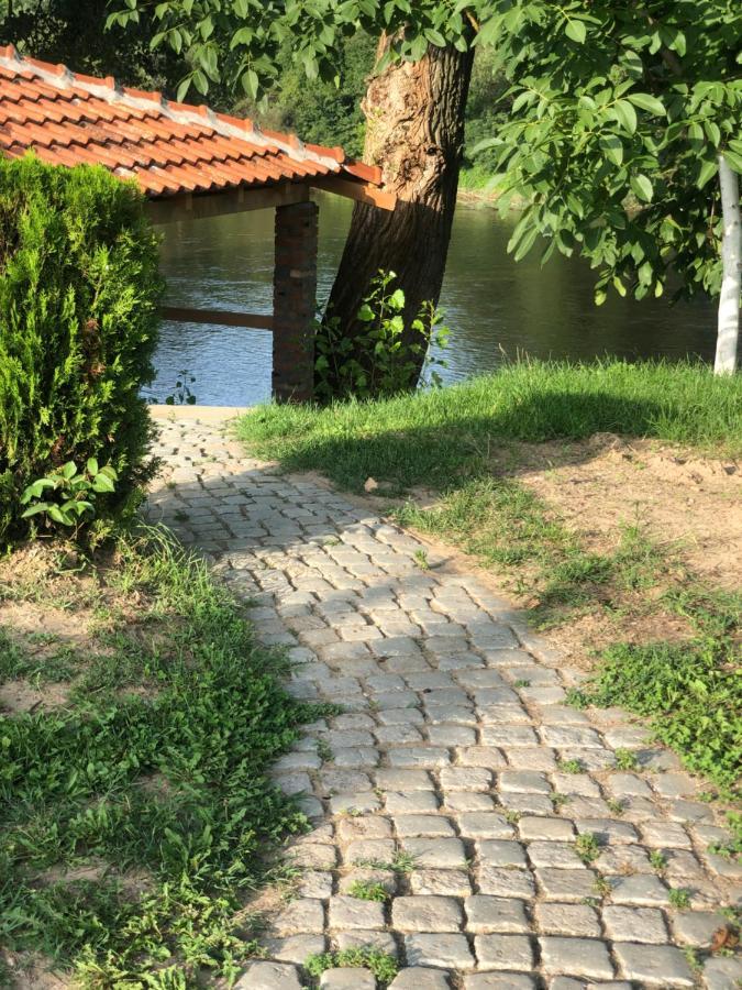 Apartmani Morava 54 Kocino Selo Exteriér fotografie