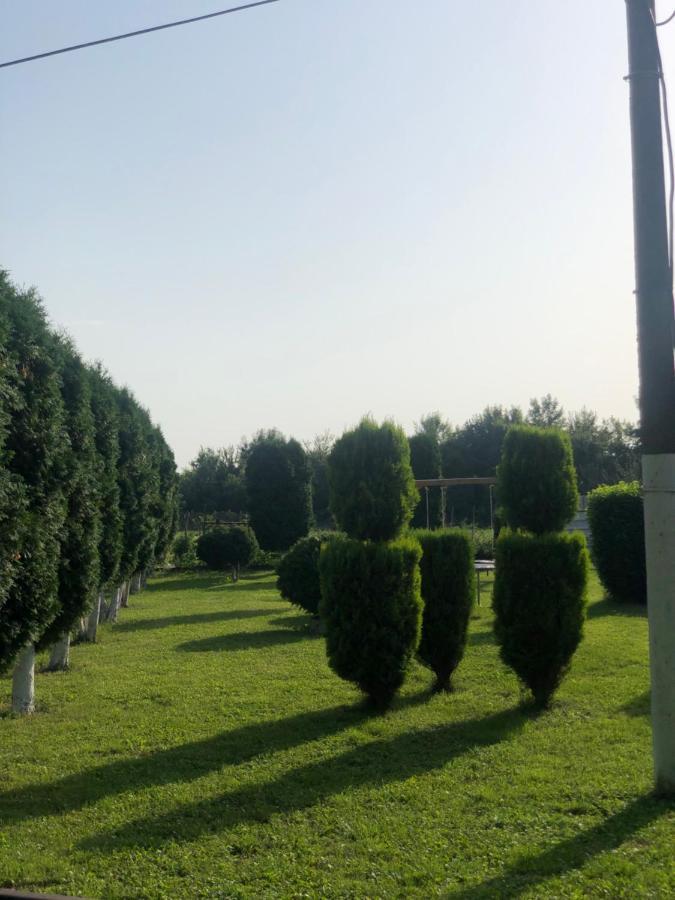 Apartmani Morava 54 Kocino Selo Exteriér fotografie