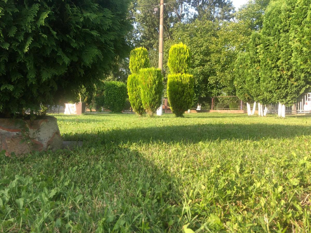 Apartmani Morava 54 Kocino Selo Exteriér fotografie